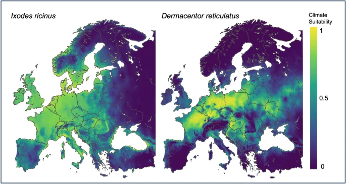 Obraz pochodzi z: https://parasitesandvectors.biomedcentral.com/articles/10.1186/s13071-023-05959-y